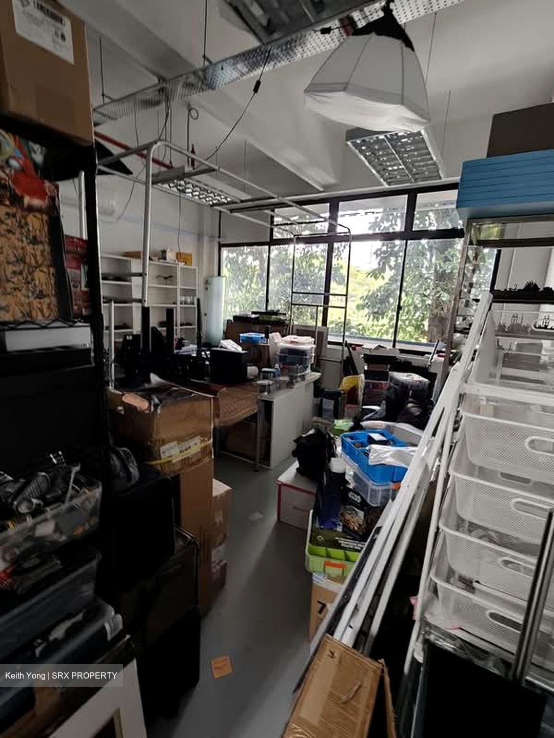 Tanglin Halt Industrial Estate (D3), Factory #547964371